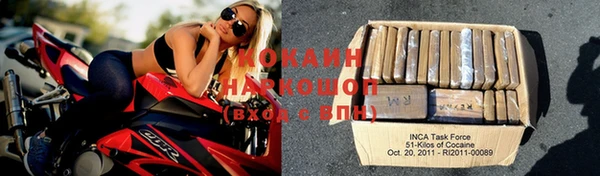 индика Медногорск