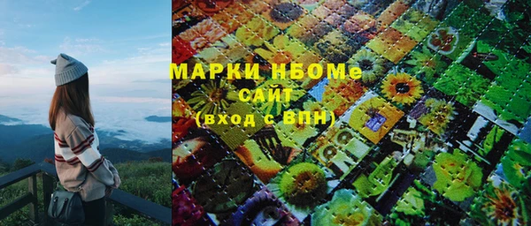 индика Медногорск
