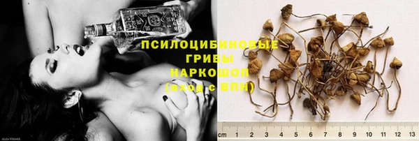 герыч Медвежьегорск