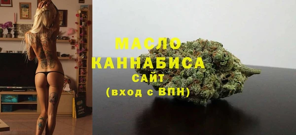 индика Медногорск