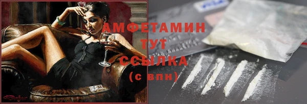 индика Медногорск