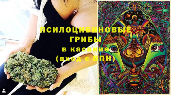 индика Медногорск