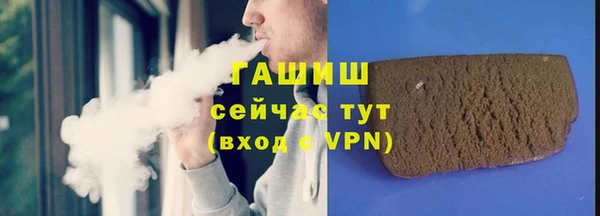 индика Медногорск