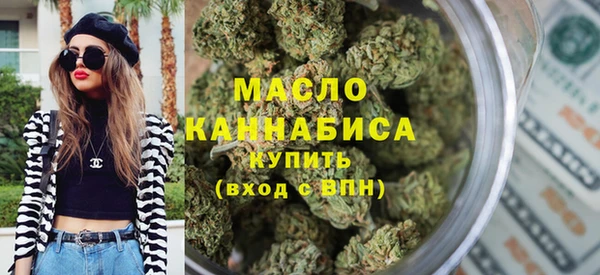 индика Медногорск