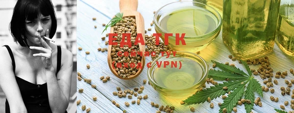 индика Медногорск
