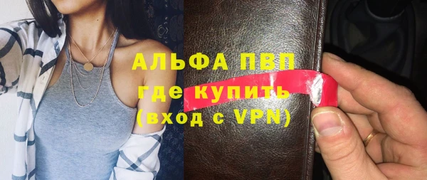 индика Медногорск