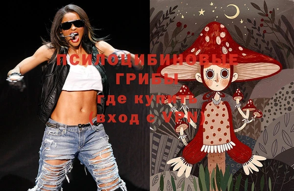 индика Медногорск