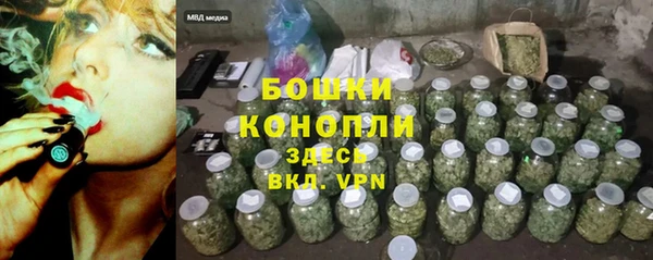 индика Медногорск