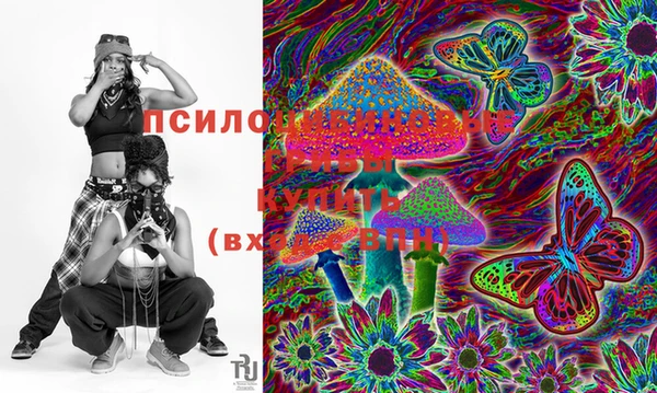 индика Медногорск