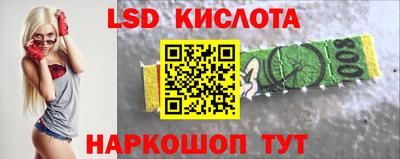 тгк Кингисепп