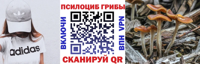 Псилоцибиновые грибы Magic Shrooms  наркошоп  Южноуральск 