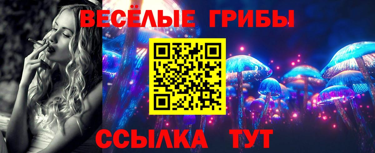 Псилоцибиновые грибы GOLDEN TEACHER  Южноуральск  Псилоцибиновые грибы Psilocybe 